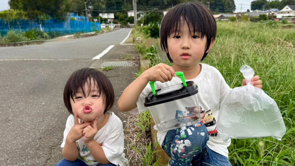 Ritaパレットイメージ